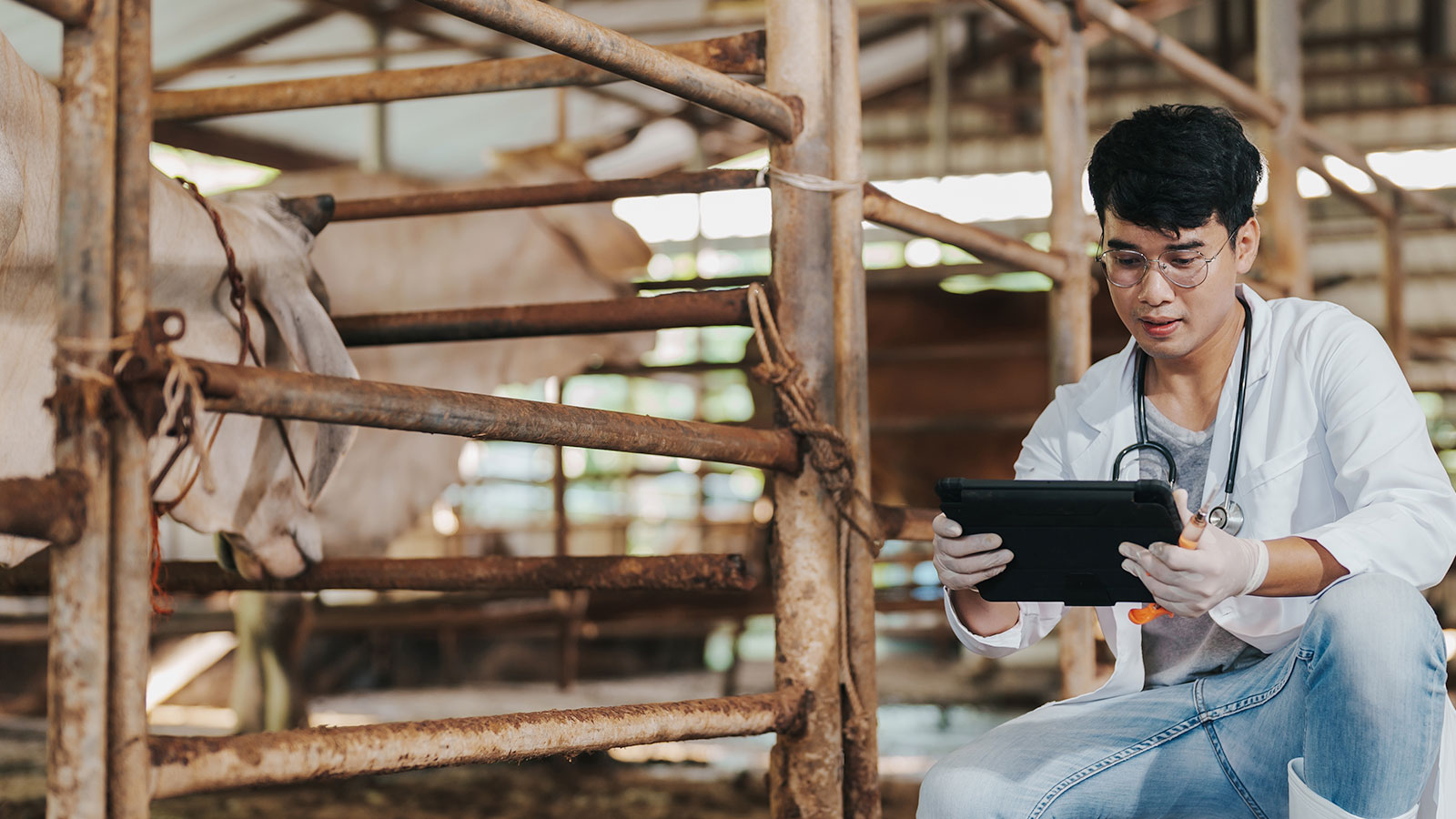 Busting 6 Myths About Digitizing Veterinary Data