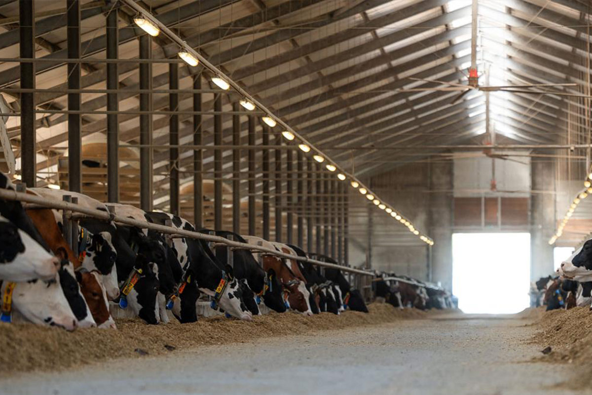 Why Herd Protocols Matter More Than Ever